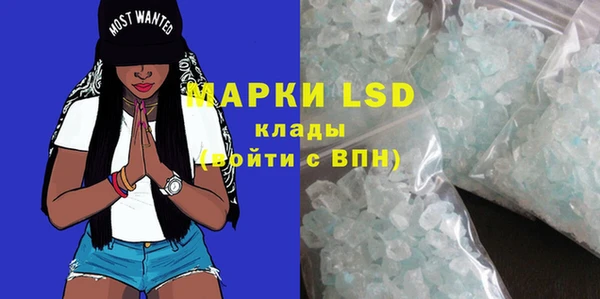 дурь Няндома