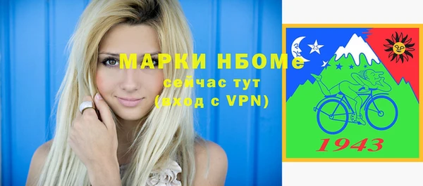 дурь Няндома