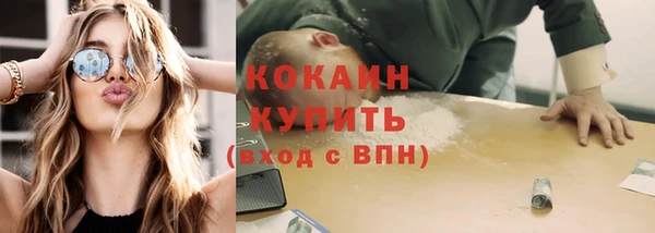 дурь Няндома