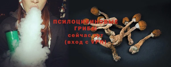 дурь Няндома