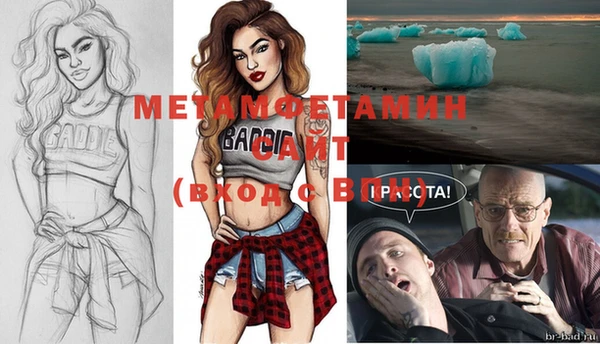дурь Няндома