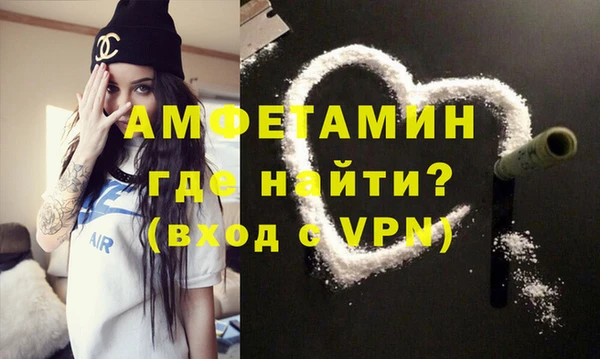 дурь Няндома