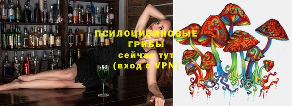 соль курить ск Нязепетровск