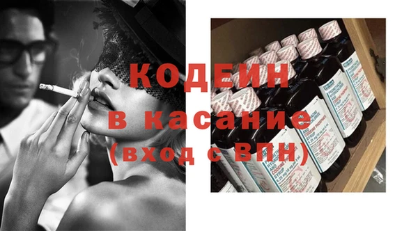 дурь Няндома