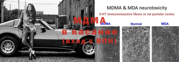 дурь Няндома