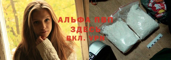 дурь Няндома