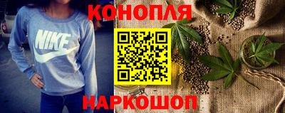 Альфа ПВП Аргун