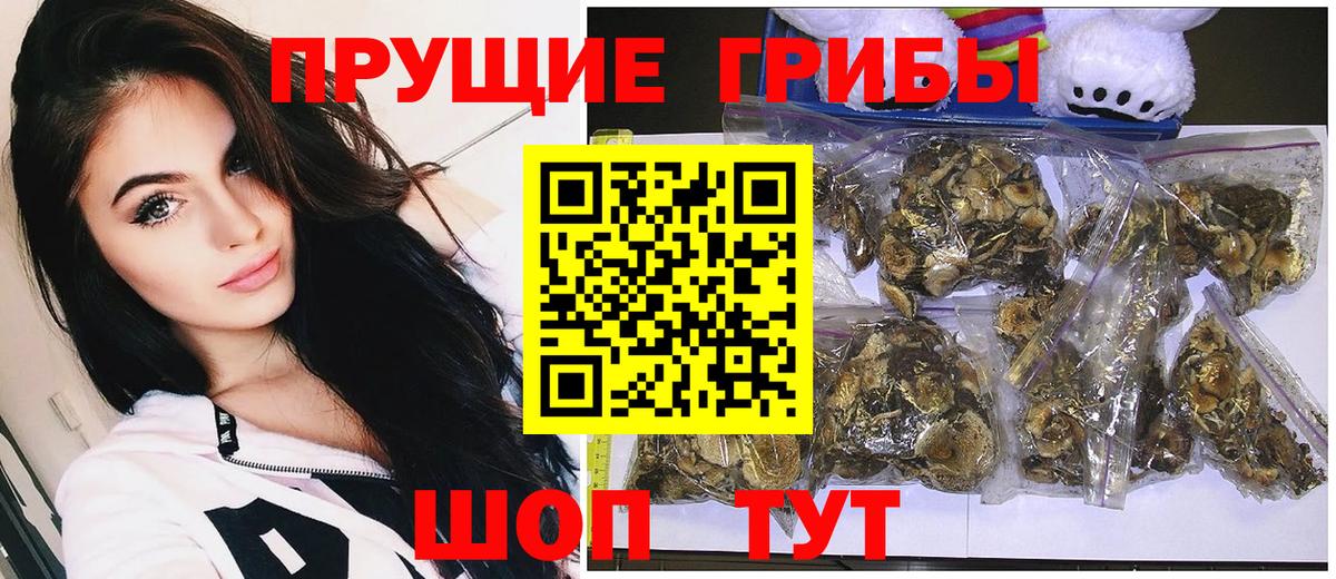 Галлюциногенные грибы GOLDEN TEACHER  Вход с VPN  Белгород 
